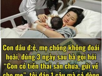 S.inh con trong viện, mẹ chồng kh.ông buồn lên chăm sóc, đúng 3 ngày sau bà gọi hỏi “Con có t.iền t.hai sản chưa, gửi về cho mẹ”, tôi đáp 1 câu mà cả dòng họ nhà chồng náo loạn