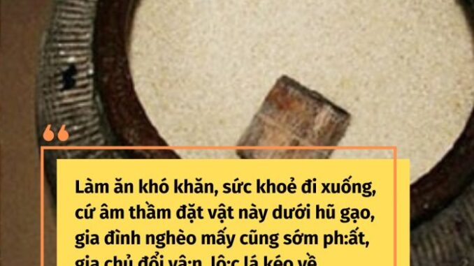 Làm ăn khó khăn, sức khoẻ đi xuống, cứ âm thầm đặt vật này dưới hũ gạo, gia đình nghèo mấy cũng sớm ph:ất, gia chủ đổi vậ:n, lộ:c lá kéo về