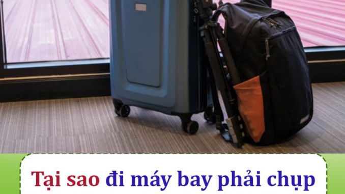 Tại sao đi máy bay phải chụp ảnh hành lý trước khi ký gửi? Lý do rất quan trọng