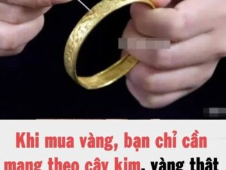 Khi mua vàng, bạn chỉ cần mang theo cây kim, vàng thật và vàng giả sẽ “lộ” ngay