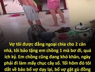 Vợ tôi được đằng ngoại chia cho 2 căn nhà, tôi bảo tặng em chồng 1 mà bơ đi, quá ích kỷ. Em chồng cũng đang khó khăn, ngày phải đi làm mấy chục cây số. Tối hôm đó tôi dắt về bảo bố vợ dạy lại, bố vợ gật gù đồng ý, nhưng hôm sau thấy ông đăng dòng tin nhắn này trên Facebook