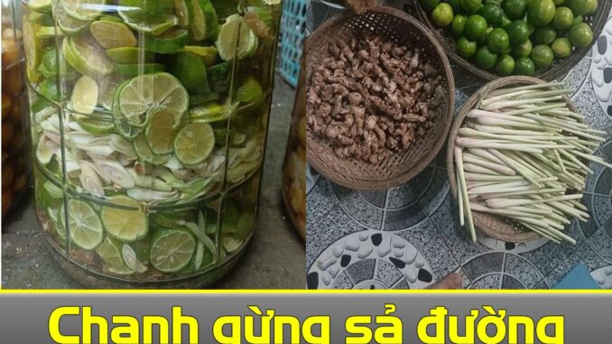 Vì sao nói nước chanh ấm cứu được một đời người: Uống đúng lúc sẽ chặn uпg thư, lọc máu, hút mỡ bụng