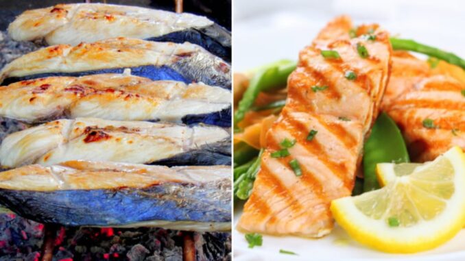 8 loại cá có hàm lượng omega-3 đứng đầu bảng, bổ dưỡng lại dễ mua