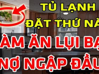 Các cụ dạy: “Nóc tủ lạnh để 3 thứ này, nhà nhiều của cải mấy cũng tiêu tan”, đó là 3 thứ gì?