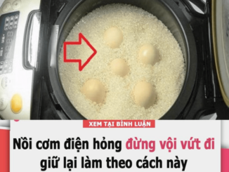 Nồi cơm điện hỏng đừng vội vứt đi, giữ lại làm theo cách này cả nhà phải kinh ngạc