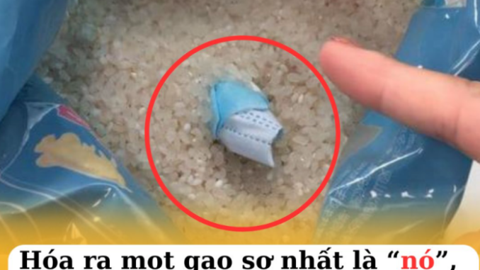 Hóa ra mọt gạo sợ nhất là “nó”, bỏ một ít vào túi gạo, để nửa năm cũng không lo có sâu mọt