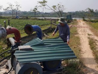 Làm rõ quyền sở hữu hồ bơm nước tưới cỏ sân golf ở Bắc Giang