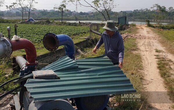 Làm rõ quyền sở hữu hồ bơm nước tưới cỏ sân golf ở Bắc Giang