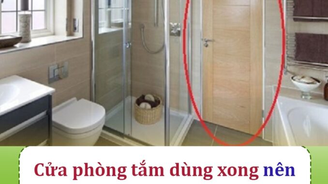 Khi không sử dụng nhà vệ sinh, cửa nên mở hay đóng? Rất quan trọng