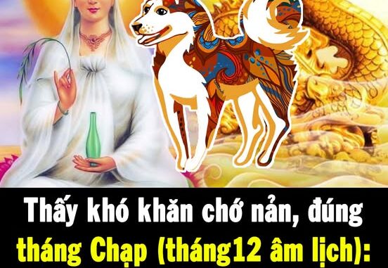 Thấy khó khăn chớ nản, đúng tháng Chạp (tháng12 âm lịch): 4 con giáp Phật Bà phù hộ, nhận thưởng lớn