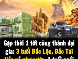 Gặp thời 1 tốt cũng thành đại gia: 3 tuổi Đắc Lộc, Đắc Tài tiền về như nước, 1 tuổi ngồi không cũng giàu