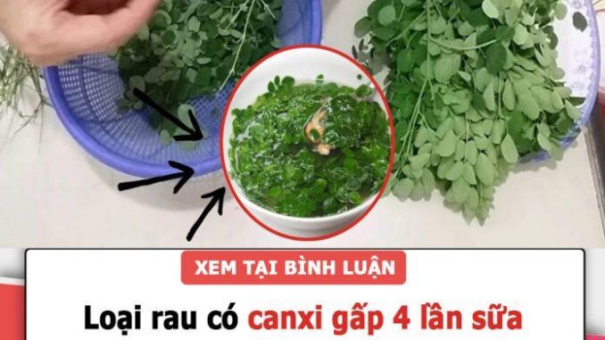 Loại rau tốt ngang tổ yến, canxi gấp 4 lần sữa: Ở Việt Nam bán đầy nhưng ít người biết ăn