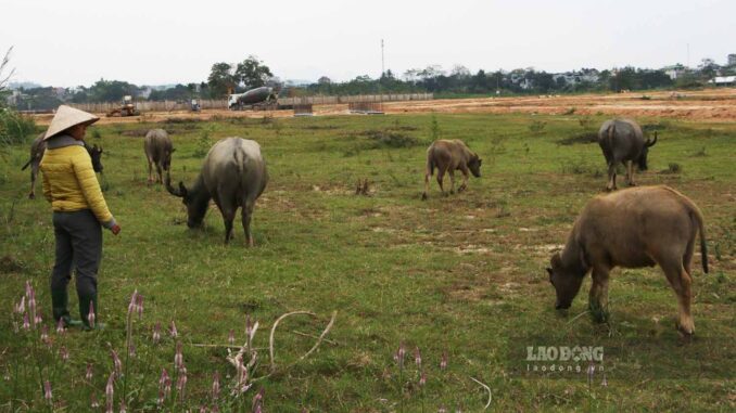 Khu đô thị trăm tỉ bên bờ sông Lô nhiều năm ì ạch, dang dở