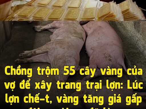 Ông chồng giấu vợ bán 55 cây vàng lấy vốn nuôi lợn