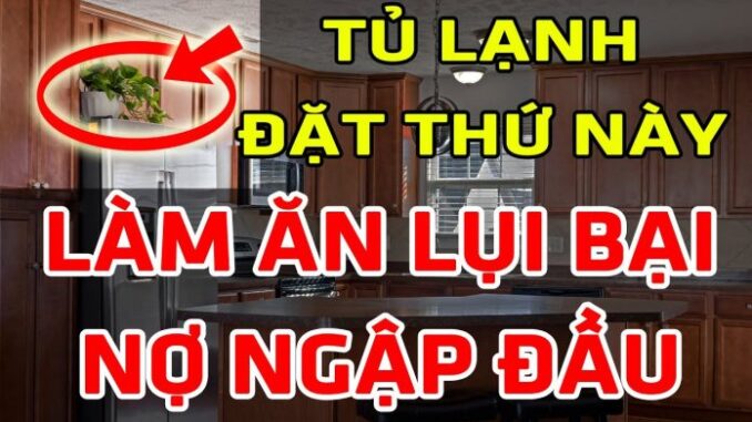 Các cụ dạy: “Nóc tủ lạnh để 3 thứ này, nhà nhiều của cải mấy cũng tiêu tan”, đó là 3 thứ gì?