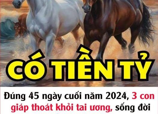 Đúng 45 ngày cuối năm 2024, 3 con giáp thoát khỏi tai ương, sống đời phú quý, tiền tài tăng vọt, tiêu vơi lại đầy, vạn sự như ý