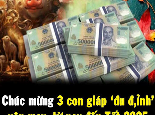 Chúc mừng 3 con giáp ‘đu đỉnh’ vận may, từ nay đến Tết 2025 giàu khủng