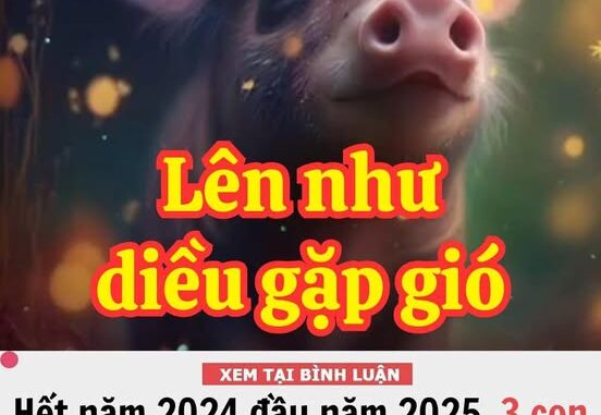 Hết năm 2024 đầu năm 2025, 3 con giáp Thần Tài chiếu cố nồng hậu, năm mới tới càng làm ăn càng PHÁT ĐẠT, đời nở hoa, ngồi mát ăn bát vàng