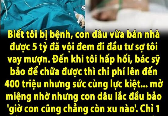 Biết tôi bị bệnh, con dâu vừa bán nhà được 5 tỷ đã vội đem đi đầu tư sợ tôi vay mượn. Đến khi tôi hấp hối, bác sỹ bảo để chữa được thì chi phí lên đến 400 triệu nhưng sức cùng lực kiệt… mở miệng nhờ nhưng con dâu lắc đầu bảo ‘giờ con cũng chẳng còn xu nào’. Chỉ 1 tiếng sau thì con tái mặt nhận cú s-ố-c trời giáng, hóa ra…