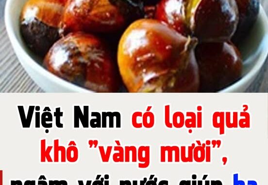 Việt Nam có loại quả khô “vàng mười”, ngâm với nước giúp hạ mỡ máu, ngừa ung thư