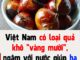 Việt Nam có loại quả khô “vàng mười”, ngâm với nước giúp hạ mỡ máu, ngừa ung thư