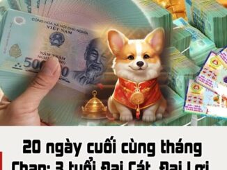 20 ngày cuối cùng tháng Chạp: 3 tuổi Đại Cát, Đại Lợi, tiền nhiều số 2 không ai số 1