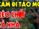 Tổ tiên dặn kỹ: 3 người này không đi tảo mộ, con cháu đời đời hưng thịnh: Đó là kiểu người nào