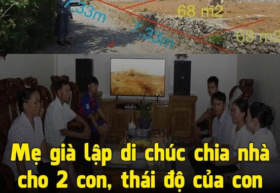 Mẹ già lập di chúc chia nhà cho 2 con, thái độ của con dâu trưởng khiến cả họ phẫn nộ, còn tôi lên cơn đau tim