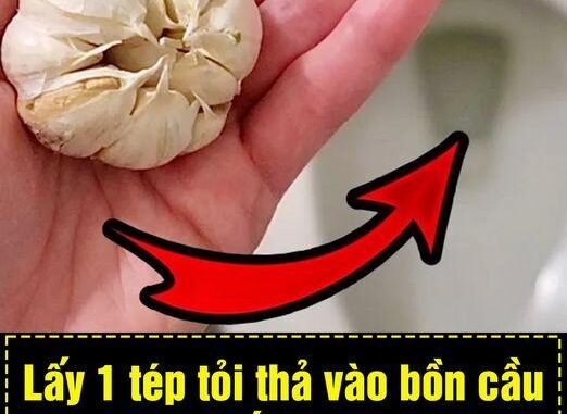 Lấy 1 tép tỏi thả vào bồn cầu, biết lý do ai cũng làm theo ngay