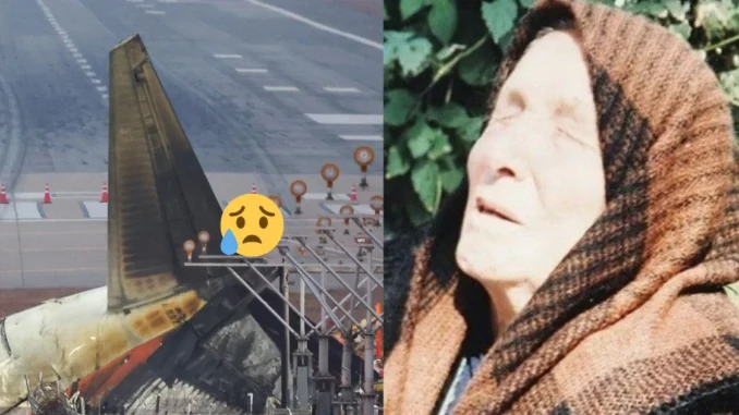 Baba Vanga chỉ thẳng vào 1 gốc, đưa ra lời tiên tri rùng mình vào năm 2025