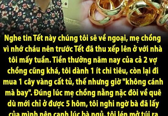 Mẹ chồng lên chơi với cháu mấy hôm đã nằng nặc đòi về luôn. Đúng lúc cây vàng tôi mới mua ở trong tủ không cánh mà bay, tôi nghi ngờ chính bà đã lấy mất của mình