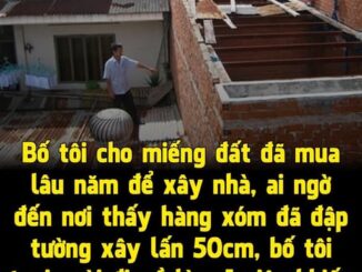 Bố tôi cho miếng đất đã mua lâu năm bên Đông Anh để xây nhà, ai ngờ đến nơi thấy hàng xóm đã đ:ập tường xây lấn 50cm, bố tôi tươi cười đi về làm 1 việc khiến bố con hàng xóm sợ xanh mặt