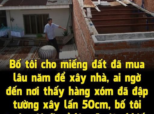 Bố tôi cho miếng đất đã mua lâu năm bên Đông Anh để xây nhà, ai ngờ đến nơi thấy hàng xóm đã đ:ập tường xây lấn 50cm, bố tôi tươi cười đi về làm 1 việc khiến bố con hàng xóm sợ xanh mặt