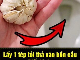 Lấy 1 tép tỏi thả vào bồn cầu, biết lý do ai cũng làm theo ngay