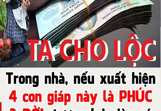 4 con giáp cùng xuất hiện trong một gia đình thì gia đình đó cực kì may mắn và giàu có