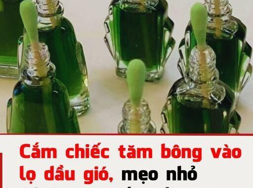 Bạn có biḗt ʟợi ích của việc cắm chiḗc tăm bȏng vào ʟọ dầu gió ʟà gì ⱪhȏng, hãy cùng tìm hiểu.