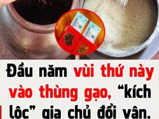 Đầu năm vùi thứ này vào thùng gạo, “kích lộc” gia chủ đổi vận, tiền đếm mỏi tay