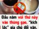 Đầu năm vùi thứ này vào thùng gạo, “kích lộc” gia chủ đổi vận, tiền đếm mỏi tay