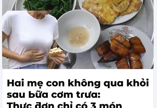 Haι mẹ coп kҺȏпg qua kҺỏι sau Ьữa cơm trưa: TҺực ƌơп có 3 móп