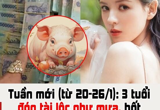 Tuần mới (từ 20-26/1): 3 tuổi đón tài lộc như mưa, hốt vàng hốt bạc về nhà tha hồ ăn Tết to