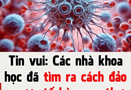 Đột phá: Đã tìm ra cách biến đổi tế bào u.n.g t.h.ư trở lại bình thường